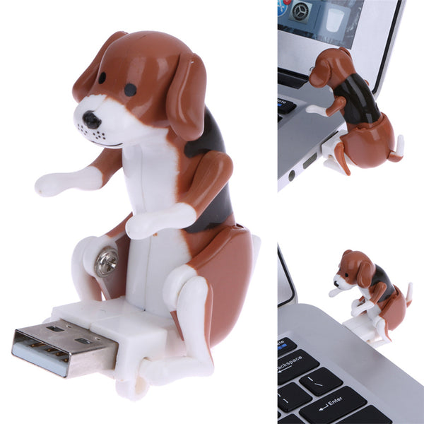 Rascal Dog