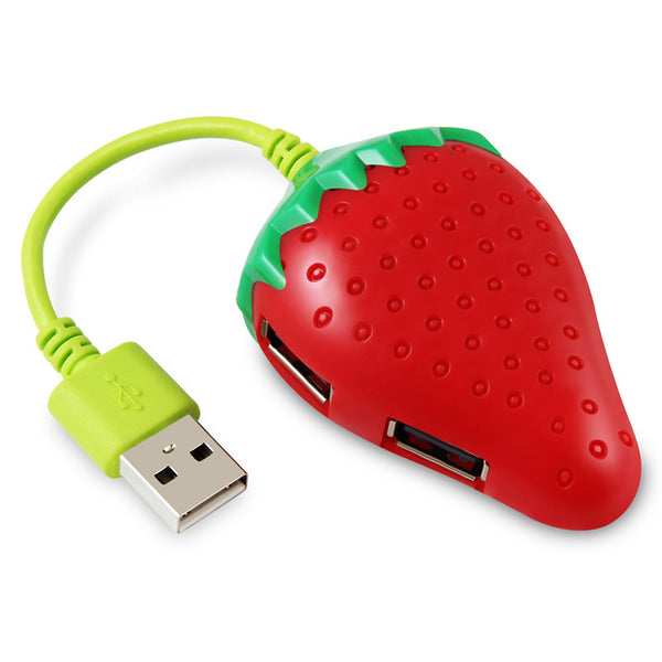Fruit USB Port