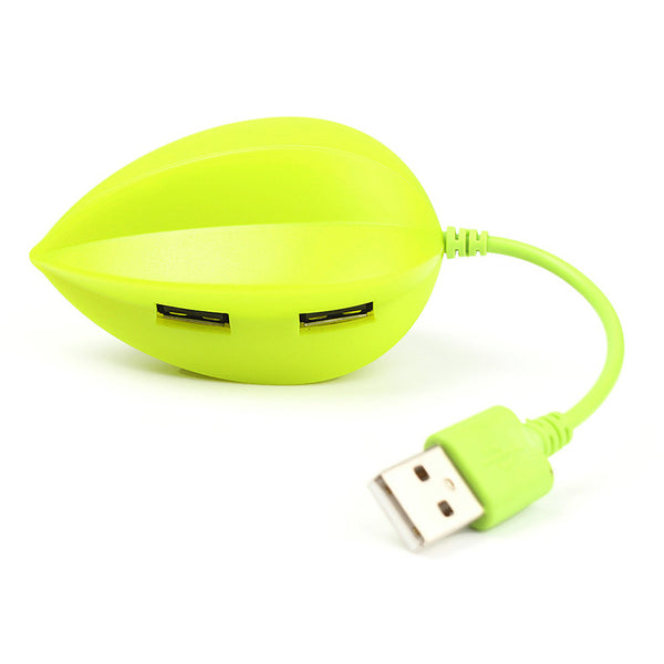 Fruit USB Port